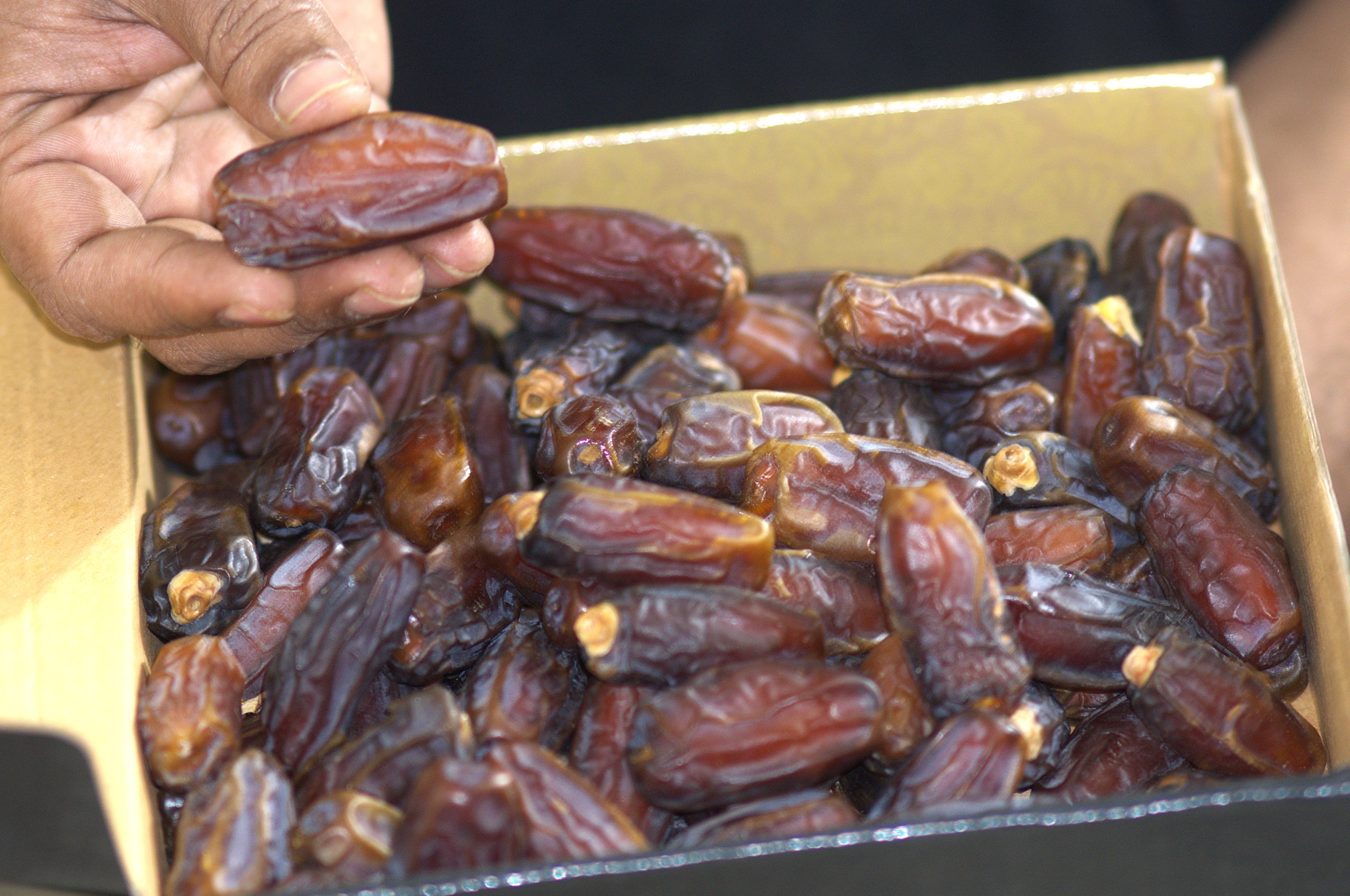 মাবরুম খেজুর (Mabroom Dates)