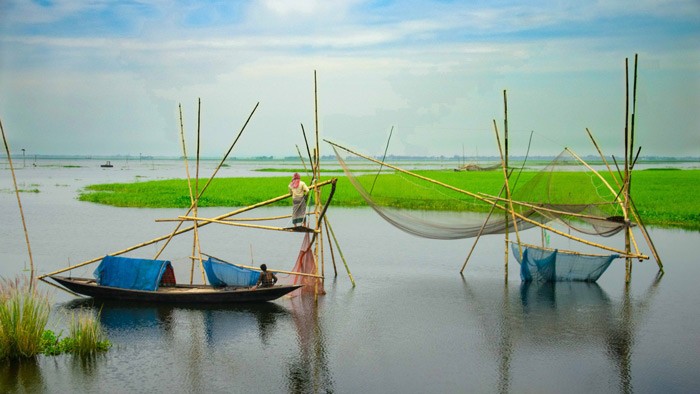 চলনবিলের মাছ